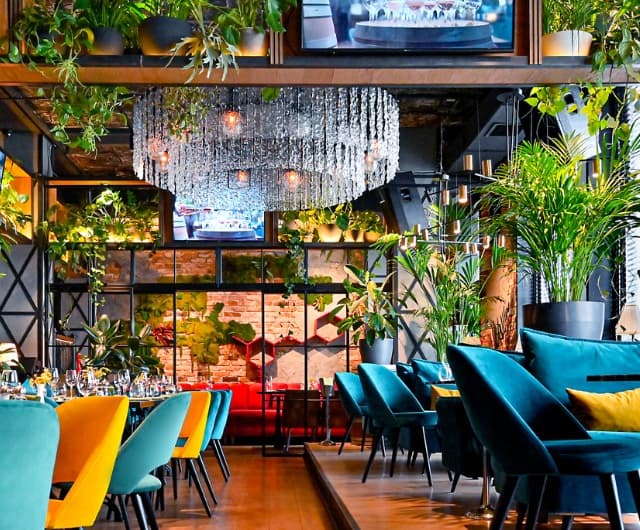 Μανιδάκης Στέλιος